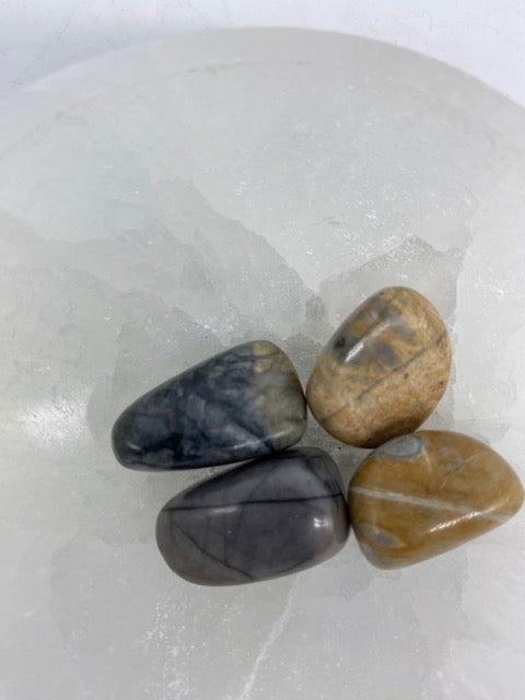 Picasso Jasper Tumblestone
