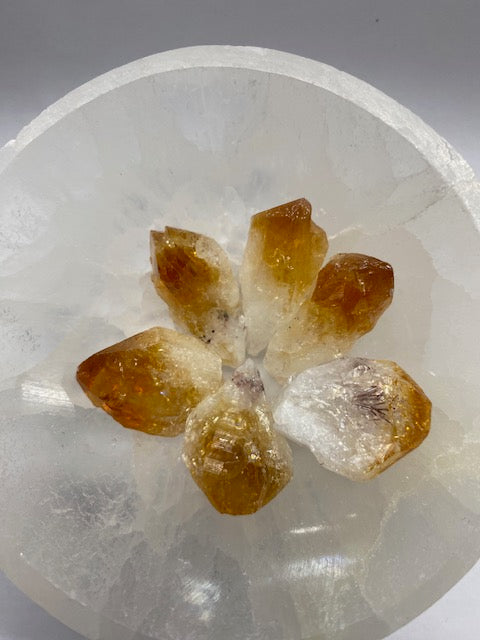 Citrine Teeth