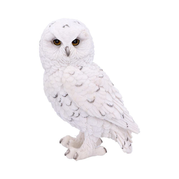 Snowy Watch - Owl