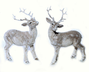Woodland Reindeer
