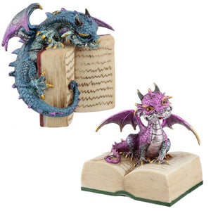 Fantasy Dragon on Book