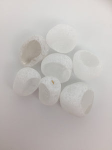 Dragons Egg