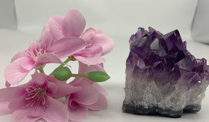 Amethyst Cluster