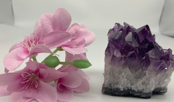 Amethyst Cluster