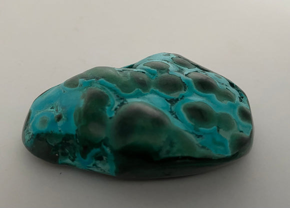 Mallacolla