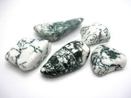 Tree Agate